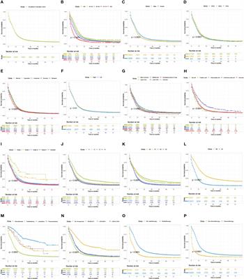 Comparation between novel online models and the AJCC 8th TNM staging system in predicting cancer-specific and overall survival of small cell lung cancer